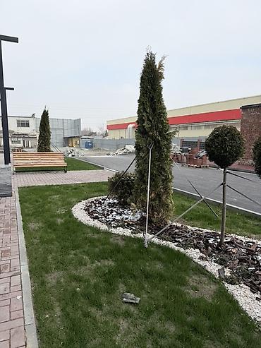 Продажа квартир: 2 комнаты, 50 м², Элитка, 16 этаж, Готовая ПСО (под самоотделку) — 3