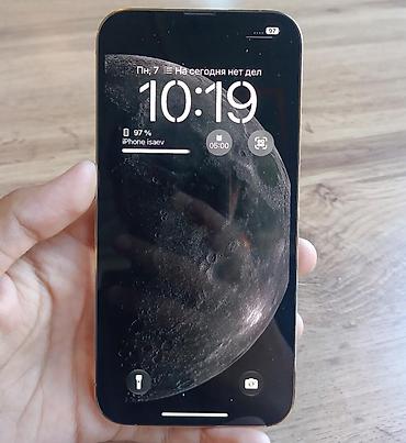 1 pro max: IPhone 13 Pro Max, серебристый - Экран 6.7" OLED Super Retina XDR — 3