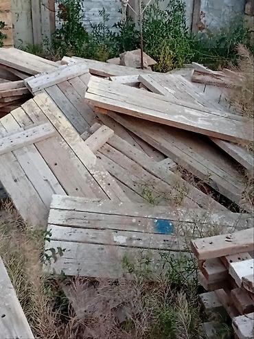 şam agaci: Cornu pocun hazlr şidərdi 5x10 uzunu 1.40 eni 50 sm 1 ədədin qiyməti — 7