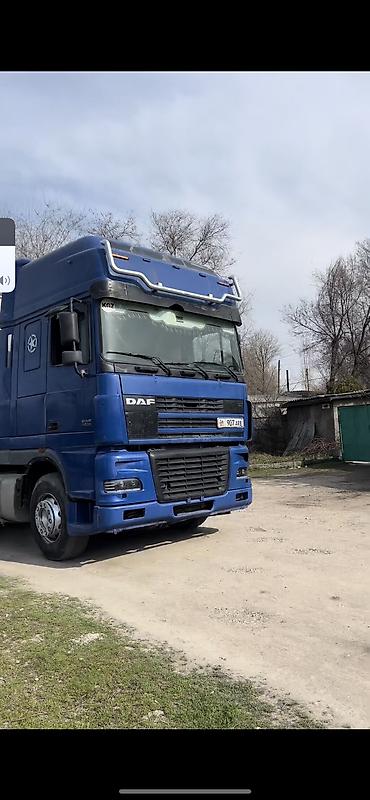 Тягачи: Тягач, DAF, 2003 г., Шторный — 9