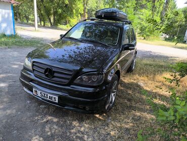 ман мерседес: Mercedes-Benz M-Class: 2002 г., 4.3 л, Автомат, Бензин, Внедорожник
