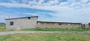 Продажа домов: Дом, 1000 м², 2 комнаты, Собственник, Старый ремонт — 2