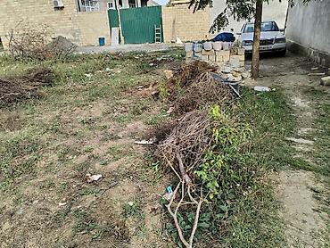 Uzunmüddətli kirayə evlər: 25 kv. m, 3 otaqlı, Qaz, Su, İnternet -da lalafo.az — 2 Uzunmüddətli kirayə evlər: 25 kv. m, 3 otaqlı, Qaz, Su, İnternet — 2