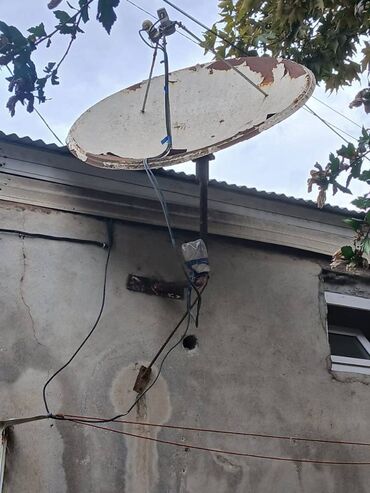 işlenmiş soyducular: Krosnu tavasi islek veziyyetde