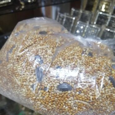 Dovşanlar: Dovşan yemləri 1-kilosu 2azn Dovşan balaları 5azn topdan Tək tək 9-azn — 17