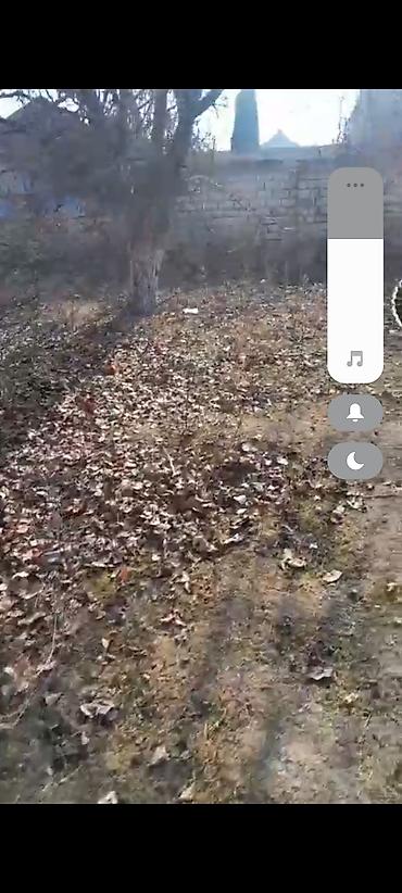 Torpaq sahələrinin satışı: 6 sot, Kupça (Çıxarış) — 8