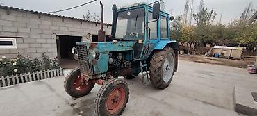 Тракторы МТЗ (Беларус): Модель: 82, Б/у at lalafo.kg — 8 Тракторы МТЗ (Беларус): Модель: 82, Б/у — 8