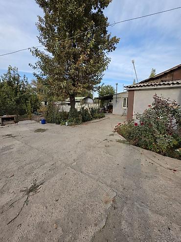 стоимость бишкек: 3 комнаты, 75 м² — 5