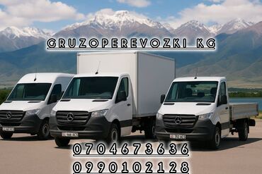 Другие услуги: Легкий грузовик, Mercedes-Benz, 3 т
