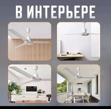 Воздуходувка: Вентилятор Настольный, Лопастной — 8