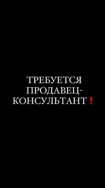 биндеры цод нті с металлическим корпусом: Требуется Продавец-консультант в Магазин одежды, График: Сменный график, % от продаж, Полный рабочий день