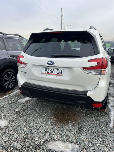 Subaru: Subaru Forester: 2019 г., 2.5 л, Вариатор, Бензин, Кроссовер — 4