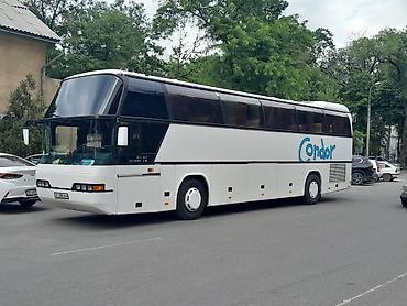 bis vip: Автобус, 2000 г., 40 и более мест — 1