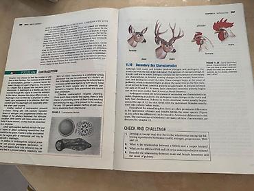 Книги и журналы: Məhsul: Biologiya üzrə illüstrasiyalı dərslik/kitab Xüsusiyyətlər: - — 4