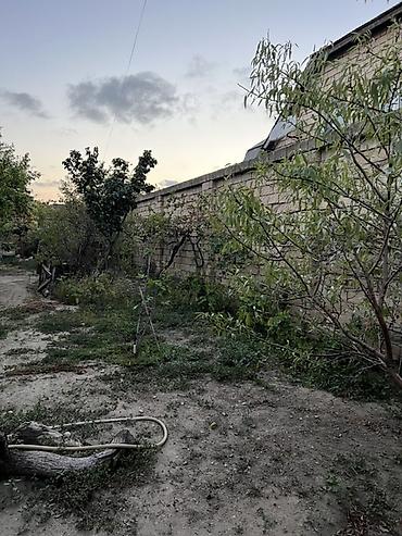 türkan ev: Sarayda torpağ 2.5 sotdu . Bu həyəti alan özü üçün evdə tikə bilər — 2