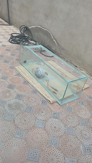 akvarium zavod istehsali: 140x40x40 10luq şüşədi çox təcili samp sistemli sapın iç ləvazimatları — 4