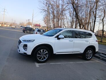 Hyundai: Hyundai Santa Fe: 2019 г., 2 л, Автомат, Дизель, Кроссовер — 5