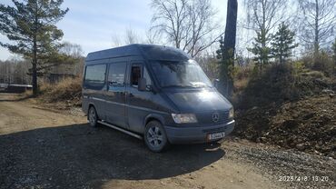 Mercedes-Benz: Mercedes-Benz Спринтер: 1996 г., 2.9 л, Механика, Дизель, Бус