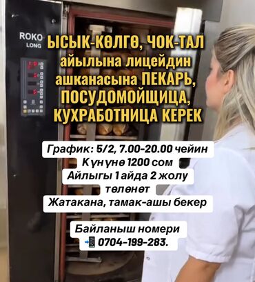 работа бишкек с проживанием: Талап кылынат Идиш жуучу, Төлөм Бир айда эки жолу