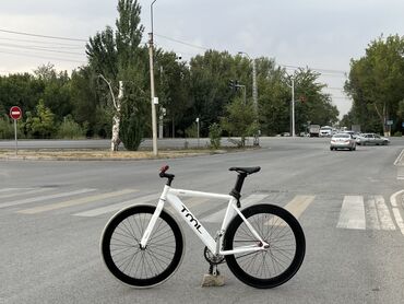 фикс рама: Шаардык велосипед, Велосипед алкагы M (156 - 178 см)