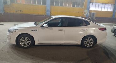 теди мишки: Арендага берилет KIA K5 Кунуно 1800с Бир айда эки кун дем алыш