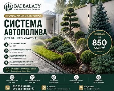 Больше 6 лет опыта