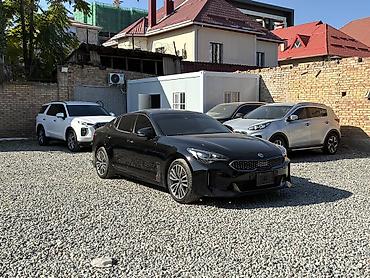 netta l: Kia Stinger: 2018 г., 2.2 л, Автомат, Дизель, Лифтбек — 1
