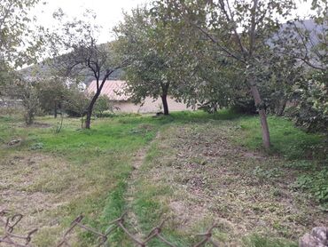 Torpaq sahələrinin satışı: 10 sot, Tikinti, Mülkiyyətçi, Kupça (Çıxarış) — 4