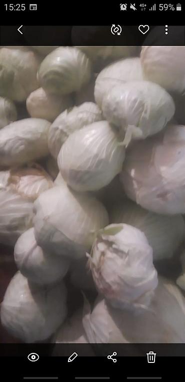 Лук: Лук Оптом, Бесплатная доставка — 6