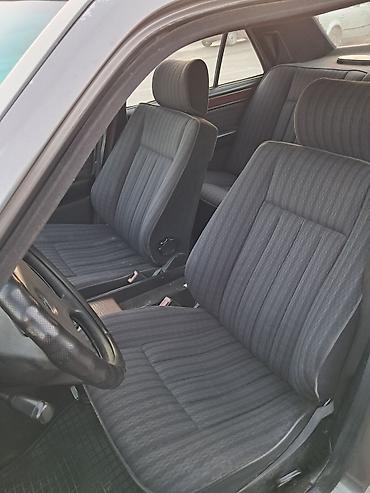 дерево на мерс 124: Mercedes-Benz W124: 1990 г., 2.3 л, Механика, Бензин, Седан — 8