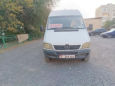 буу коляска: Mercedes-Benz Sprinter пассажирский микроавтобус, длинная база — 3