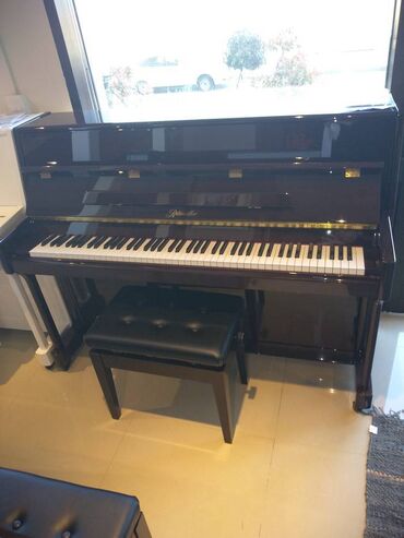 Pianolar: Piano akustik Ritmuller Pearl River Royal musiqi alətleri salonu — 6