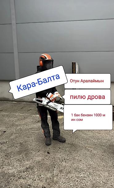 микориза купить: Пилю дрова кара балта. Отун Аралаймын кара балта — 1