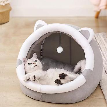 котята простые: 🐱 Домик для кошки — 1990 сом Уютный и удобный домик для вашего питомца — 3