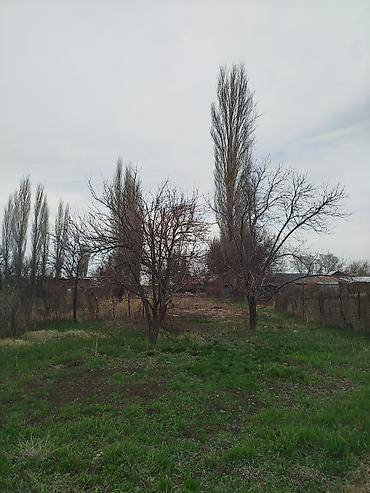 Продажа коттеджей и домов: Продается дом в г. Кара балта 17,5 соток. Мы посадили осенью новый — 27