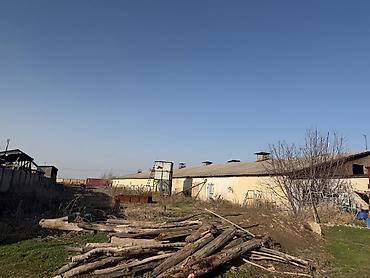 jack 4: 115 соток, Договор купли-продажи, Красная книга — 1