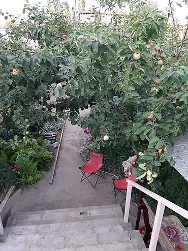 Продажа дач: Меняем благо устроенную дачу ( Бишкек ) - вариант для тех кто хочет — 26