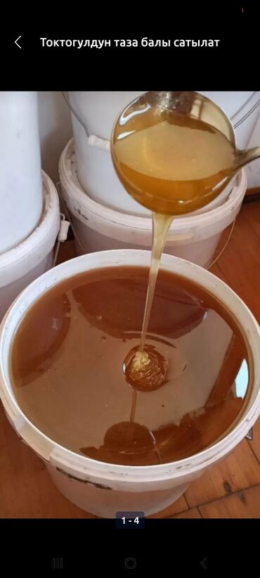 токтогульский мёд: Мёд