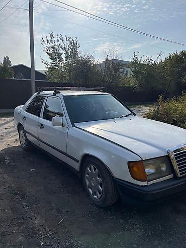 Mercedes-Benz: Mercedes-Benz W124: 1988 г., 3 л, Механика, Дизель, Седан — 2