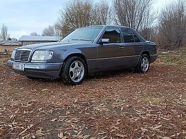 Продажа авто: Mercedes-Benz W124: 1995 г., 2.2 л, Механика, Бензин, Седан — 1
