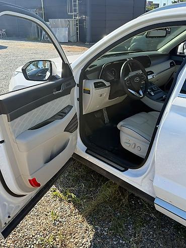 163: Hyundai Palisade: 2020 г., 2.2 л, Автомат, Дизель, Седан — 8