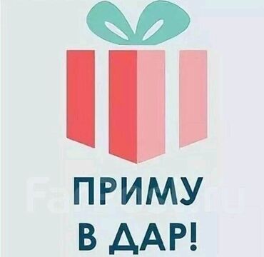 приму дар: Здравствуйте, приму в дар вещи для молодой девушки, размер 46-48-50