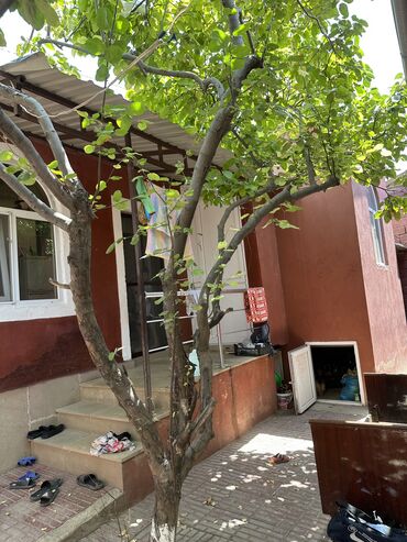 Bağ evlərinin satışı: Novxanı, 78 kv. m, 3 otaqlı -da lalafo.az — 15 Bağ evlərinin satışı: Novxanı, 78 kv. m, 3 otaqlı — 15