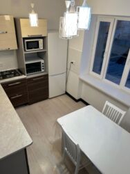 Продажа квартир: 2 комнаты, 50 м², 105 серия, 1 этаж, Евроремонт — 14