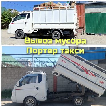 Другие животные: Вывоз мусора вывоз мусора вывоз мусора Вывоз мусора вывоз мусора