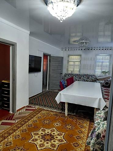 фрезия с теплицы: 4 комнаты, 10 м², 10 соток, Орловка, Собственник — 8
