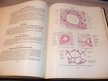 lanane: Atlas of Human Histology: Mariano S. H. Di Fiore114 original color — 3