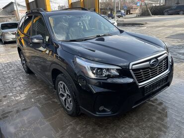 стоп форестер: Subaru Forester: 2019 г., 2.5 л, Вариатор, Бензин, Кроссовер