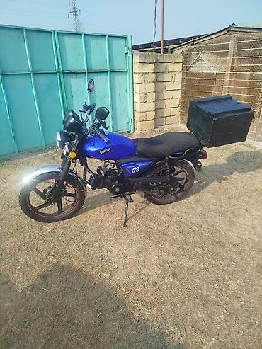 QAZ: QAZ 12 ZIM: 2.3 l | 2007 il — 10