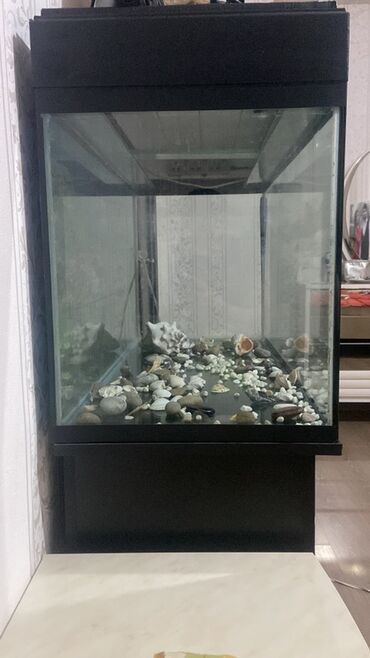 bmw 1 серия 128i mt: Akvaryum və şkaflı komplekt - Şaquli formda, ön və yanları şüşə